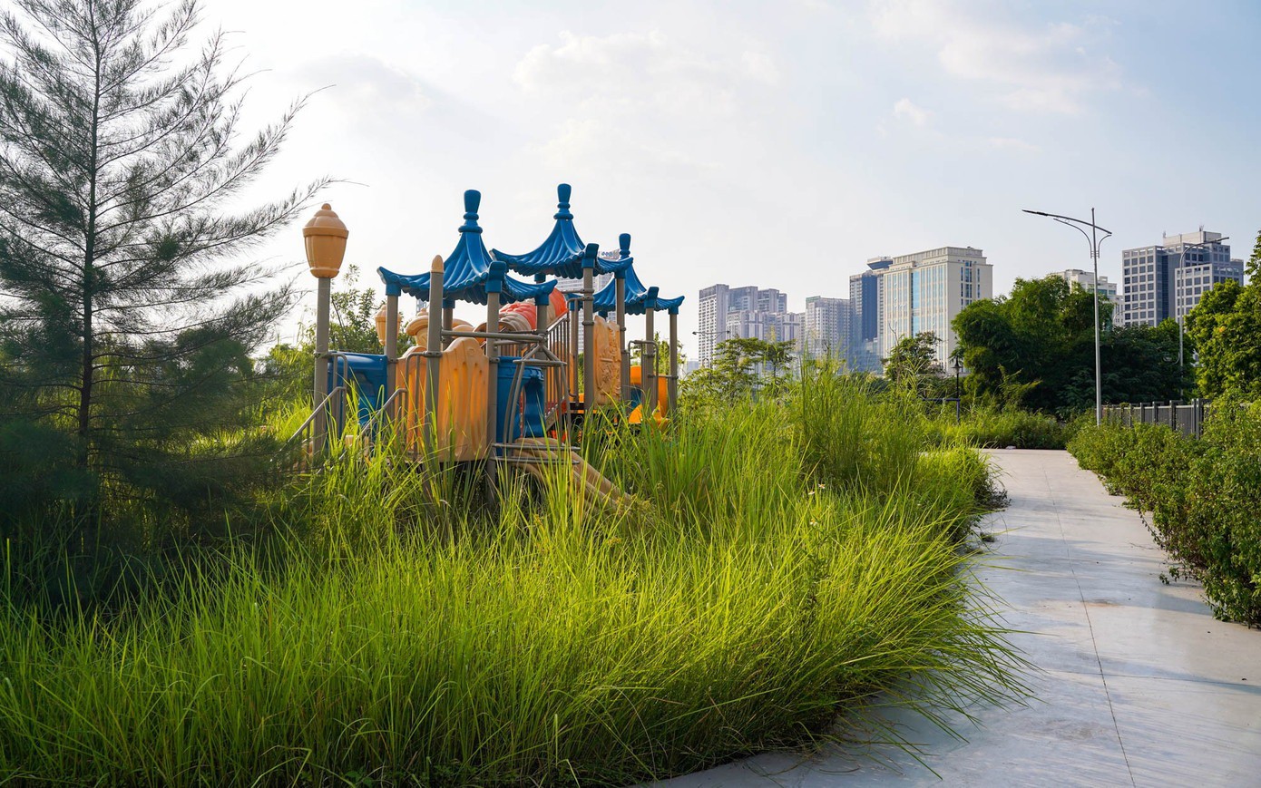 Cá chết bốc mùi, cỏ dại cao quá đầu trong công viên gần 750 tỷ đồng tại Hà Nội - 3