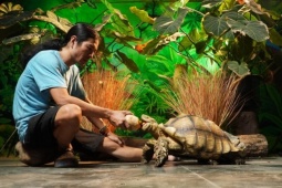 Người đàn ông ở Hà Nội nuôi thú cưng 'khổng lồ', mỗi bữa tốn vài cân thức ăn