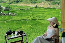 Du lịch - Uống cà phê ngắm lúa chín 'ngay trước mắt' ở Sa Pa