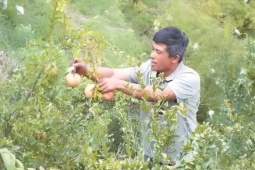 Thị trường - Tiêu dùng - Ba ‘chìa khóa vàng’ giúp ngôi làng nhỏ thoát nghèo, làm được điều không tưởng