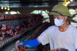 Ông nông dân đút túi cả tỷ đồng mỗi năm…