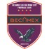 Trực tiếp bóng đá Becamex TP.HCM - Công an TP.HCM: Đội khách ghi bàn thứ 3 ấn định (V-League) (Hết giờ) - 1