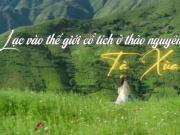 Lạc vào thế giới cổ tích ở thảo nguyên Tà Xùa