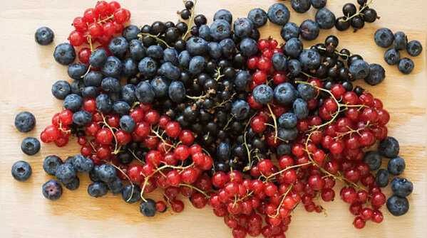 Các loại quả mọng chứa nhiều anthocyanin và các hợp chất chống oxy hóa mạnh, giúp bảo vệ tế bào gan khỏi tổn thương do gốc tự do.
