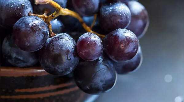 Nho đỏ và nho tím rất giàu resveratrol và các polyphenol khác giúp giảm viêm và stress oxy hóa ở gan.