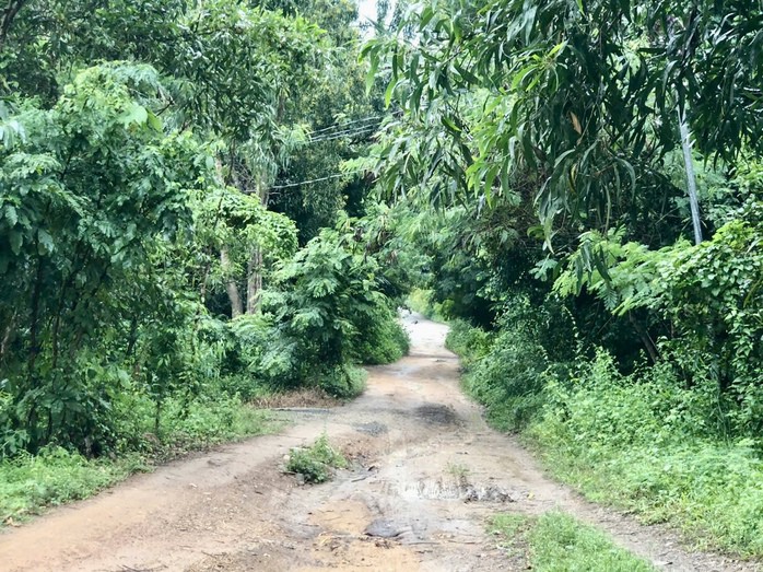 Đường vào nhà nạn nhân, khu vực hiện trường vụ án mạng. Ảnh: L.N.