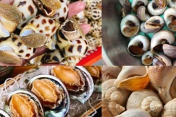 Top món ốc nóng ngon khó cưỡng cho ngày…