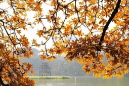 Hà Nội lọt top những điểm đến ngắm lá mùa thu đẹp nhất châu lục