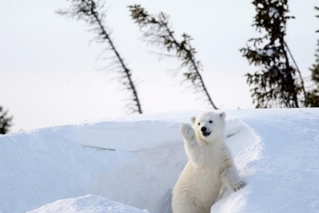 Nơi người dân không khóa cửa để chạy thoát nhanh nhất