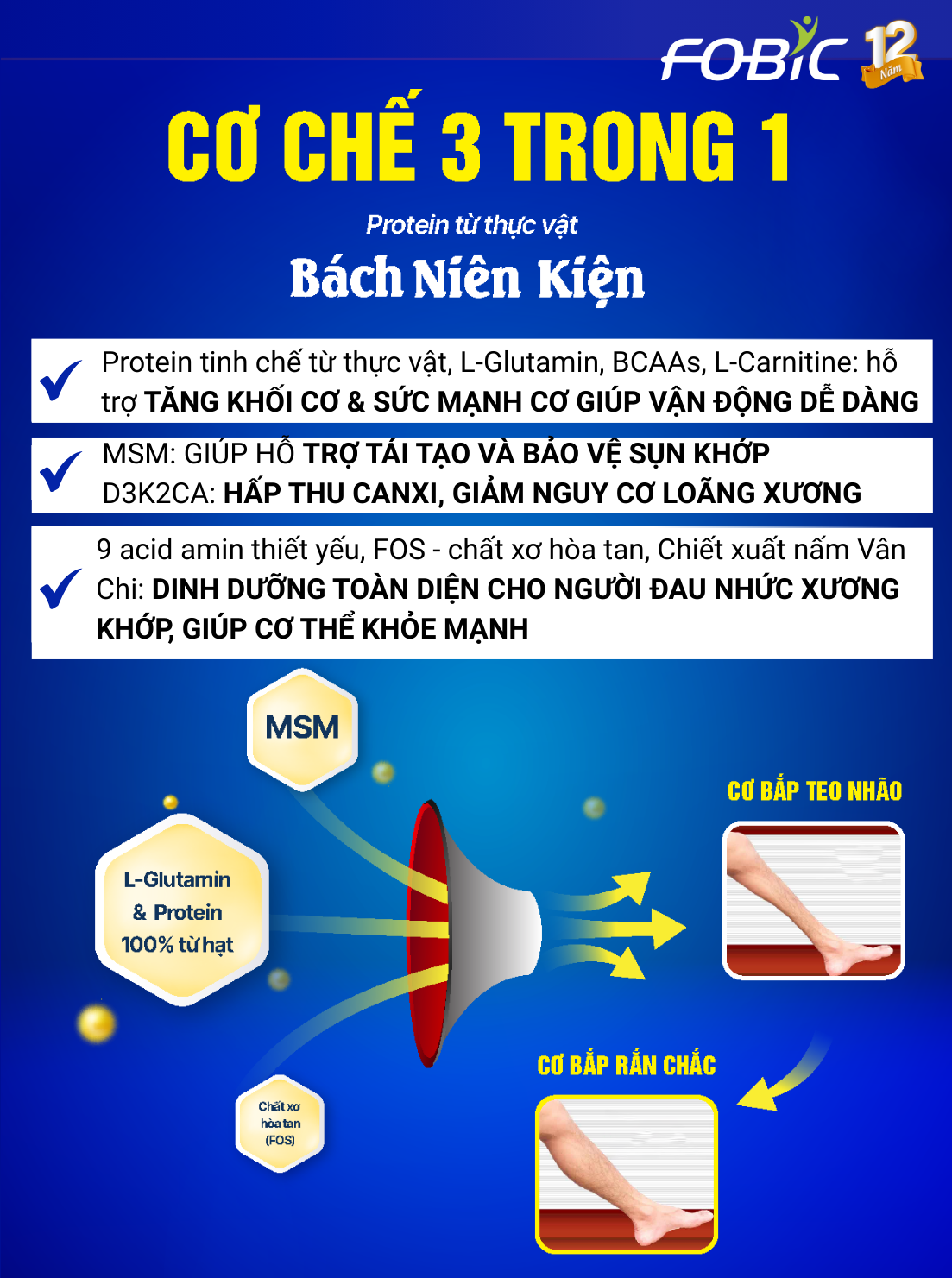 Không ngờ: Loại đạm đặc biệt trong Protein Bách Niên Kiện lại là ‘chìa khóa’ cho xương khớp dẻo dai - 3