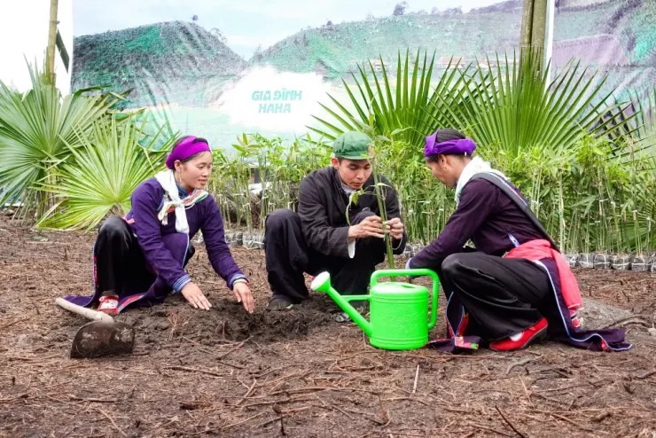 Jun Phạm trồng cây tại bản Liền