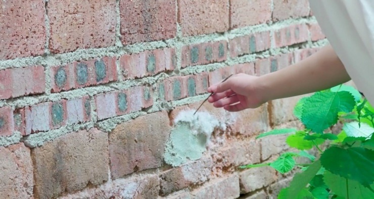 Những nguyên liệu hóa học đều được Trương thu thập từ tự nhiên, như nitrate trong chuồng lợn. Ảnh: Handout