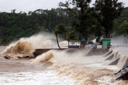 Tin tức trong ngày - Hải Phòng khẩn cấp lên phương án ứng phó bão Ragasa