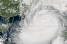 Thị trường - Tiêu dùng - Siêu bão Ragasa áp sát Hong Kong (Trung Quốc), dân đua nhau tích trữ lương thực