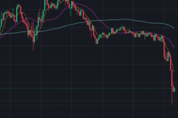 Kinh doanh - Tiền điện tử (Crypto) bất ngờ 'bốc hơi' hơn 200 tỷ USD
