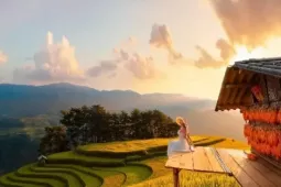 Du lịch - Đồi Móng Ngựa 'toạ độ' ngắm mùa lúa chín siêu thực ở Mù Cang Chải