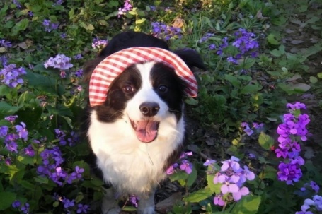 Cảnh tan hoang sau khi siêu bão Ragasa quét qua miền bắc Philippines