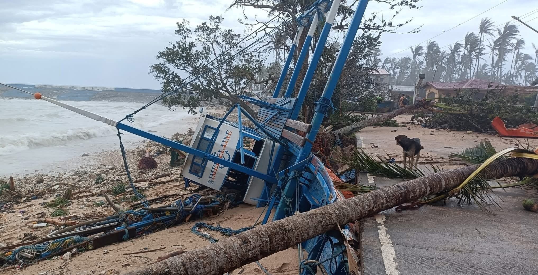 Cảnh tan hoang ở đảo Calayan, nơi siêu bão Ragasa càn quét dữ dội. Ảnh: MDRRMO Calayan / Jeo Arirao
