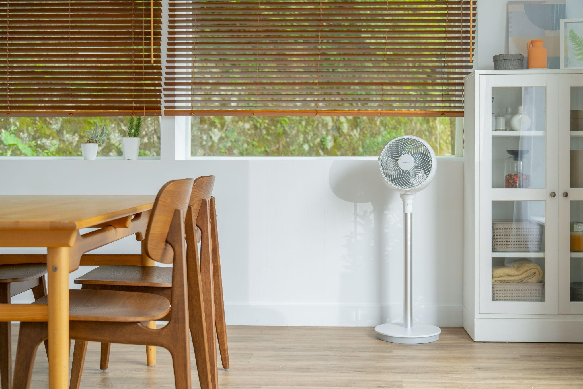 Quạt đối lưu không khí Acerpure COZY F1