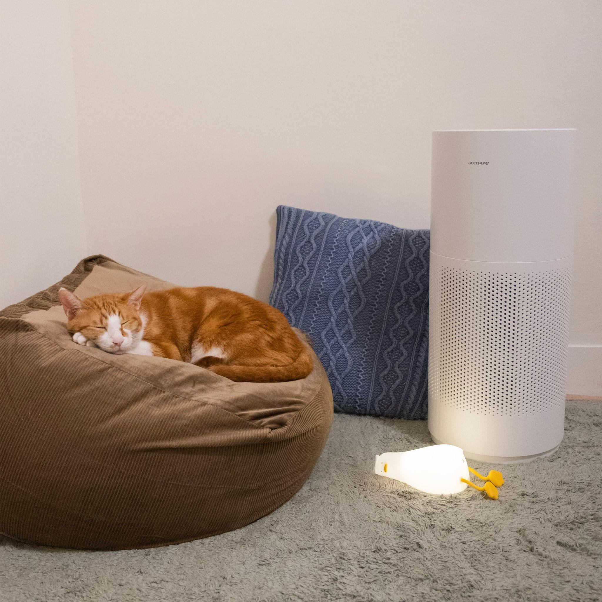 Máy lọc không khí Acerpure Pro P2 đơn giản phù hợp mọi không gian