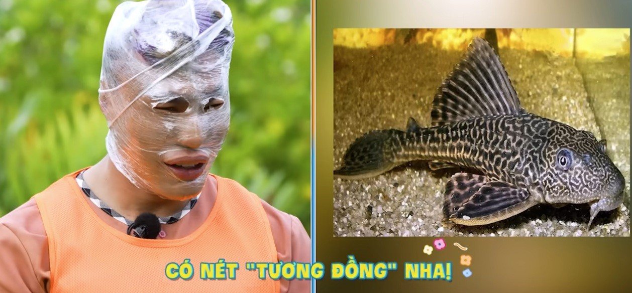 Lê Dương Bảo Lâm bị quấn kín mặt, khán giả phẫn nộ - 1