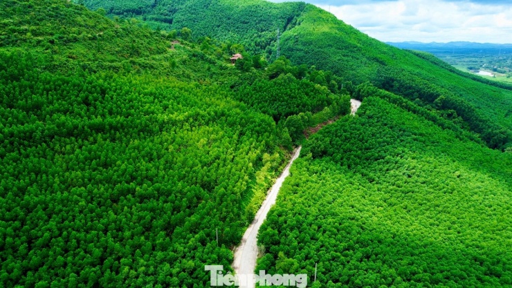 Đề xuất ‘lên đời’ quốc lộ vượt rừng núi hiểm trở ở Huế - 2