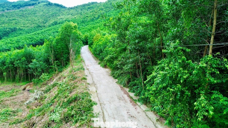 Đề xuất ‘lên đời’ quốc lộ vượt rừng núi hiểm trở ở Huế - 6