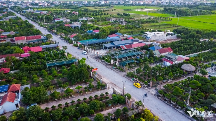 Một góc làng cây cảnh Vị Khê.