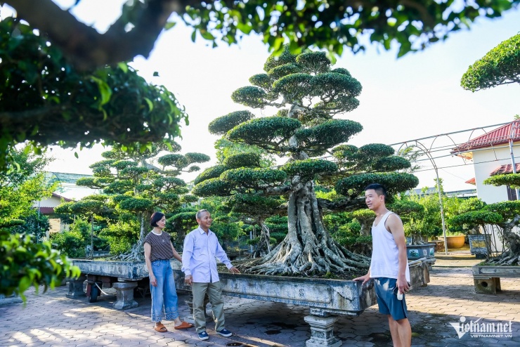 Nghệ nhân Nguyễn Công Khanh sở hữu hơn 200 tác phẩm cây cảnh.