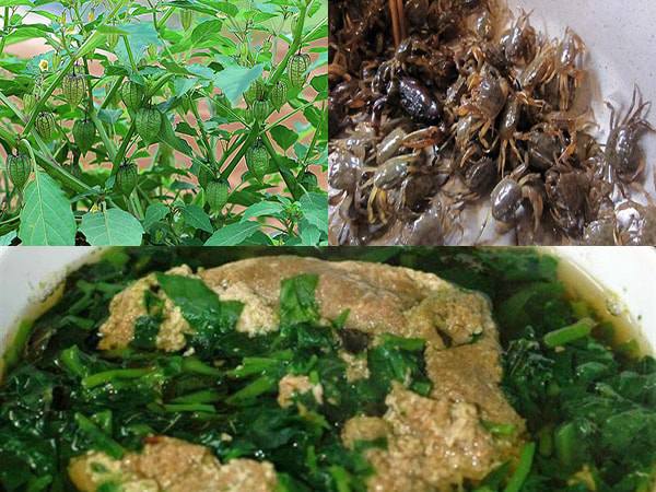 Loại lá là &#39;thần dược tự nhiên&#39;, bảo vệ gan, hỗ trợ kiểm soát đường huyết, chế biến thành nhiều món ngon - 7