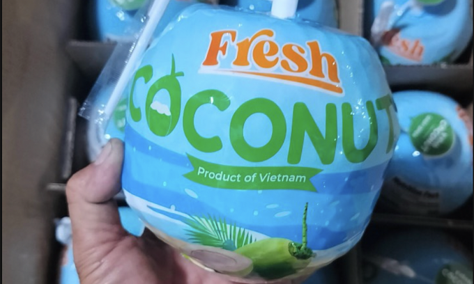 Dừa Việt đóng thùng xuất sang Mỹ. Ảnh: Vina T&amp;T