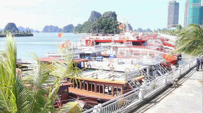 Tàu, thuyền tập trung neo đậu tại khu tránh trú bão của Cảng cao cấp Ao Tiên, đặc khu Vân Đồn