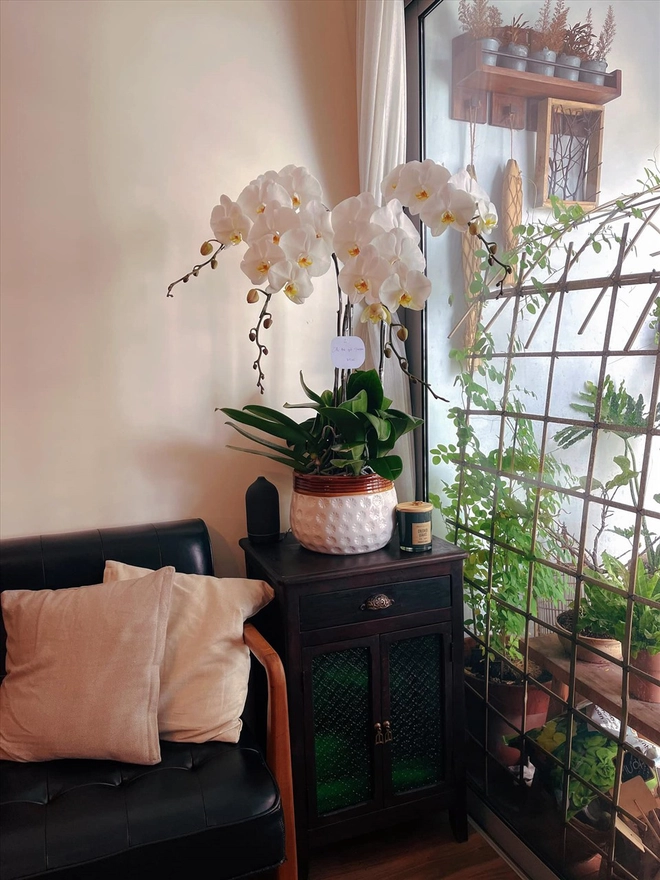 Tổ ấm rộng 75m2 của Jun Phạm, nơi chữa lành cực chill - 10