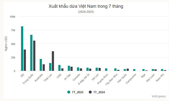 Mỹ vượt Trung Quốc thành thị trường nhập dừa lớn nhất của Việt Nam - 1