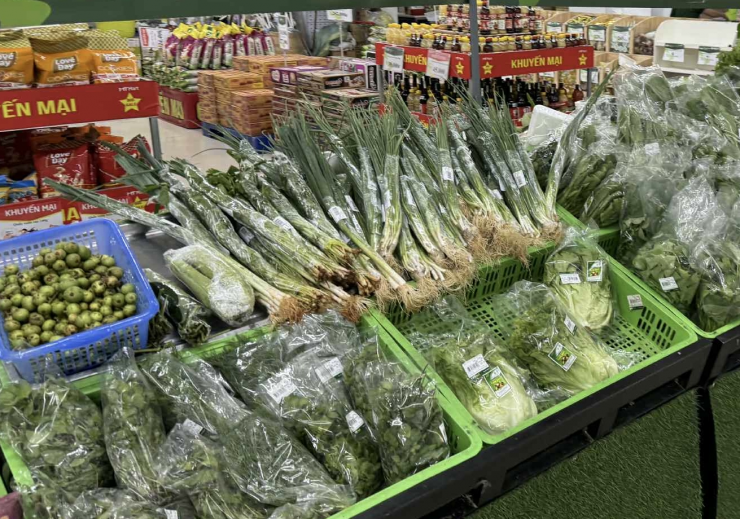 Hà Nội cần 1,3 triệu tấn rau xanh mỗi năm, nhưng diện tích trồng rau VietGAP vẫn còn quá nhỏ so với nhu cầu. Ảnh: Tâm An