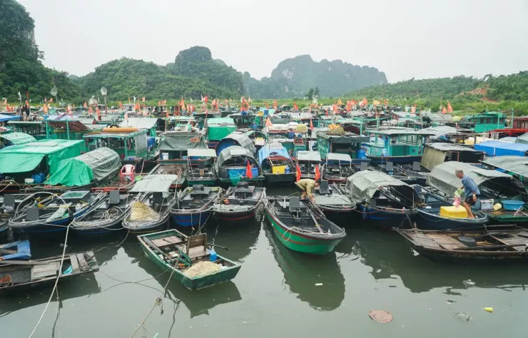 Bão số 9 chưa đến, người dân lại lo bão số 10 - 6