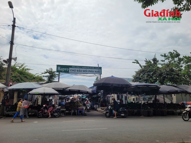 Tại chợ đầu mối phía Nam (phường Hoàng Mai, TP Hà Nội) cho thấy, không khí mua bán diễn ra như thường lệ, không có hiện tượng người dân tranh thủ mua nhiều thực phẩm để tránh bão. Ảnh: Bảo Loan