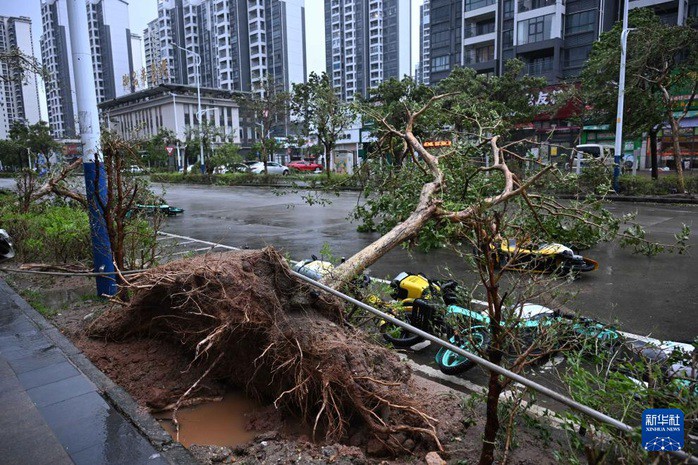 Một số hình ảnh ở Trung Quốc ngày 24-9. Ảnh: Tân Hoa Xã