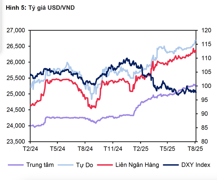 Diễn biến tỉ giá trung bình 8 tháng đầu năm 2025. Nguồn: MBS