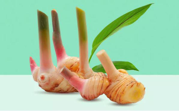 Loại củ bán đầy chợ Việt có tác dụng tuyệt vời cho sức khỏe - 1