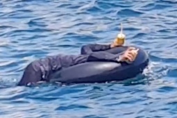 Lại xuất hiện clip nghi đánh cá bằng mìn ở Khánh Hòa