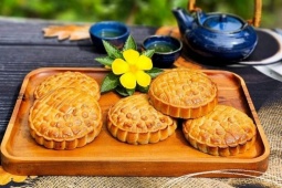 Bánh trung thu mô p…