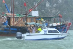 Bão số 9 Ragasa suy yếu thành áp thấp nhiệt đới