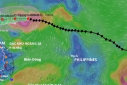 Nhiều trường lùi lễ tốt nghiệp, hủy chương trình chào mừng năm học vì bão Ragasa
