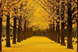 Du lịch - Chọn nơi ngắm mùa thu với 10-20 triệu đồng