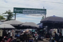 Trước bão Ragasa, giá rau xanh chợ đầu mối phía Nam chỉ từ 5.000 đồng/bó