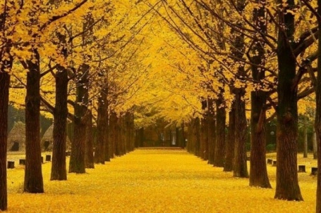 Chọn nơi ngắm mùa thu với 10-20 triệu đồng