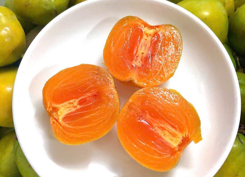 Từ loại quả quê có giá vài nghìn đồng/kg, hồng da tre trở thành đặc sản mùa thu có giá lên đến hàng trăm nghìn đồng/kg. (Ảnh: Nguyễn Trọng Nghĩa)