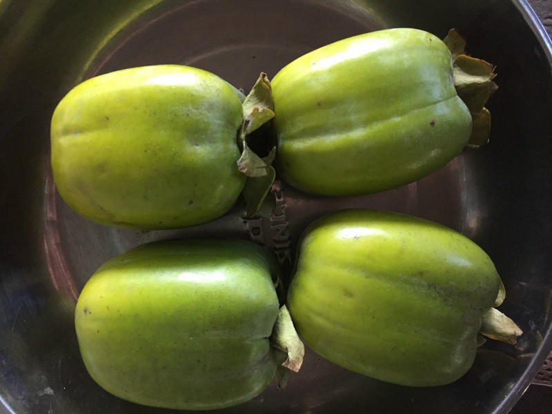 Hồng da tre nổi tiếng và trở nên đắt đỏ bởi cách ăn của người Hà Nội. (Ảnh: Nguyễn Trọng Nghĩa)