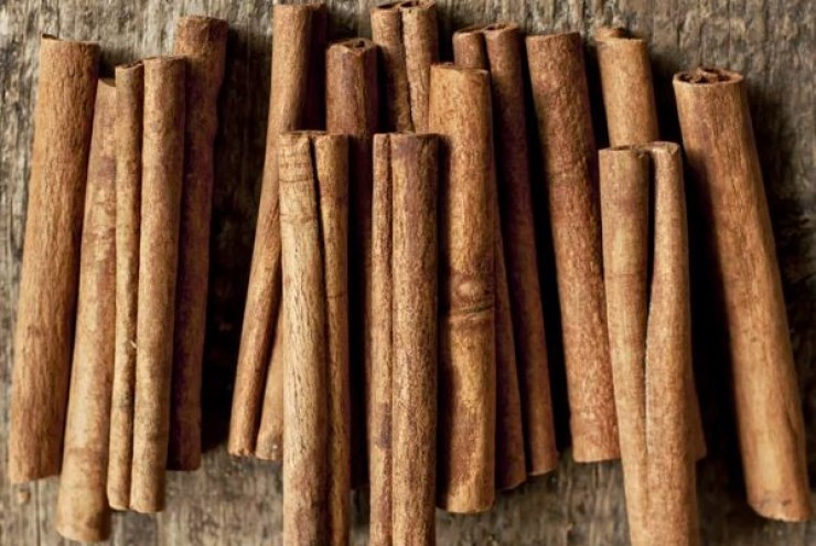 Không ngờ loại vỏ cây này mang lại 15 lợi ích thần kỳ cho sức khỏe